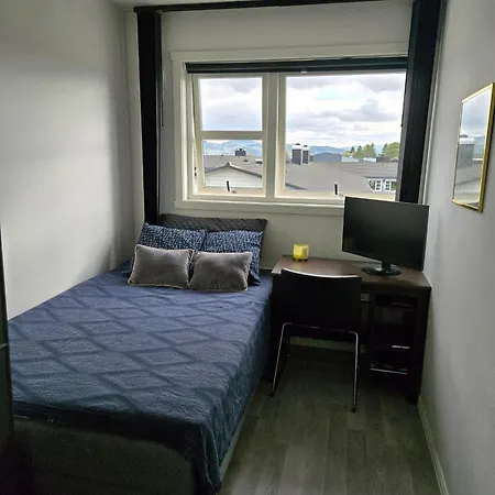 Exclusive Three-story Near The Center Trondheim