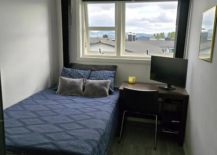 Exclusive Three-story Near The Center Trondheim