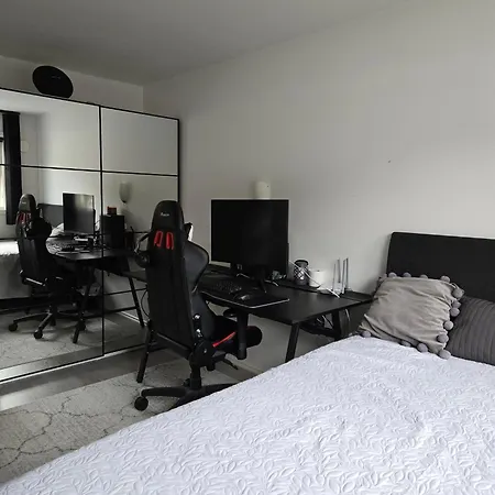 Exclusive Three-story Near The Center Ferienhaus *